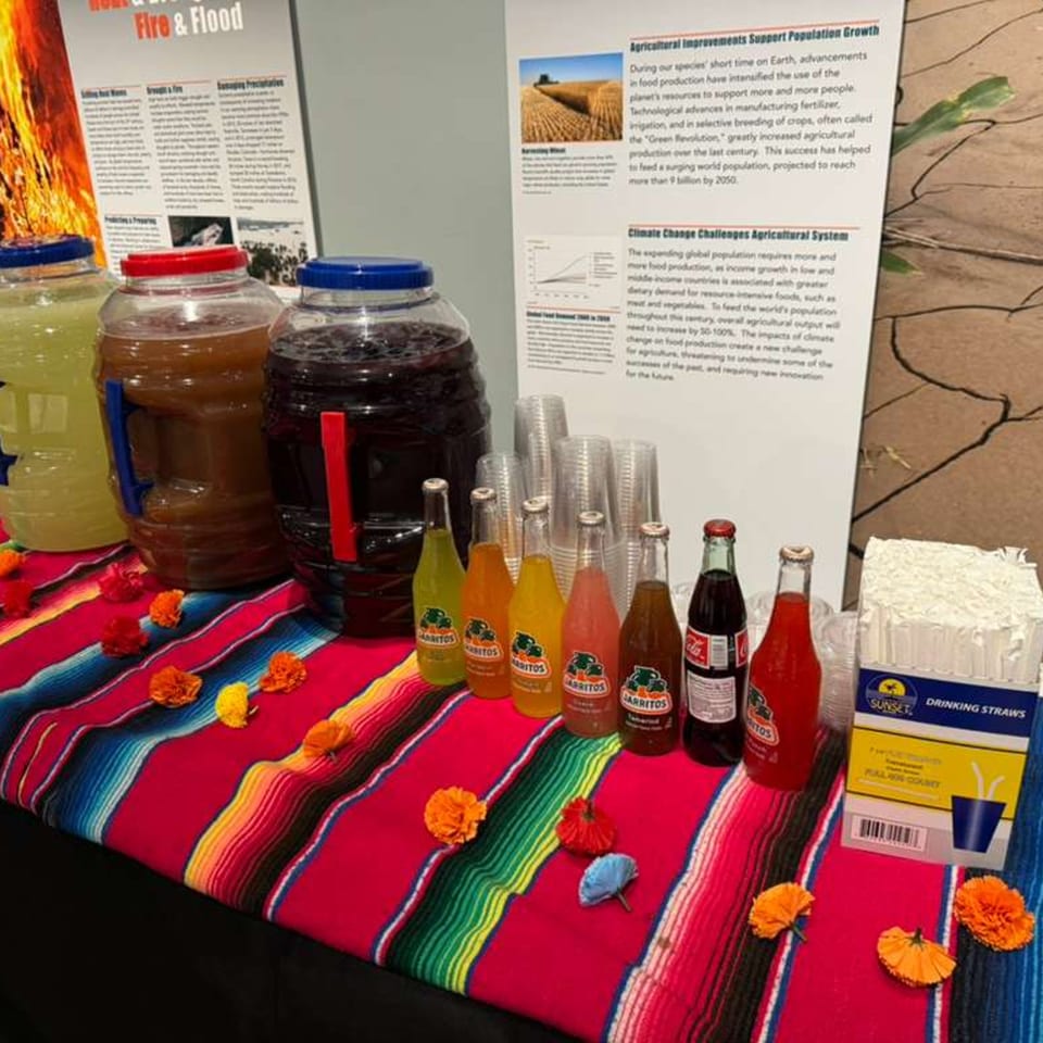 Mexican drinks, including Jarritos and aguas frescas, on a colorful striped serape with marigold decorations.