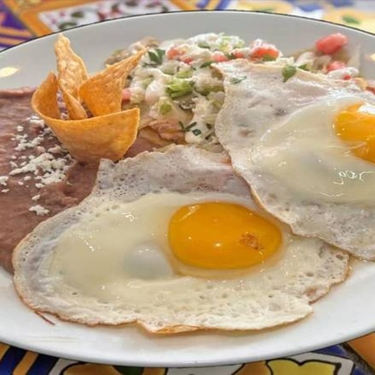 Savor Your Lunch with Us